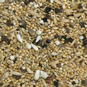 Quail-Mix-willow park seeds