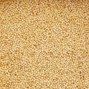 white millet seed, budgies, budgie seed