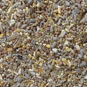 Robin and Songbird Seed Mix No Mess Husk Free