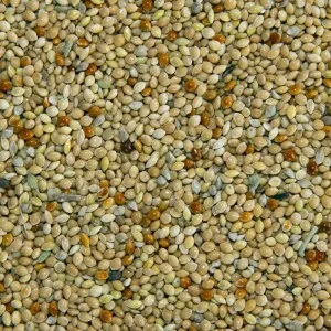 mixed millets, mixed millet seeds for birds