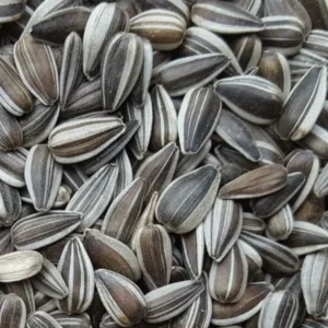 small striped sunflower seeds for birds