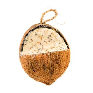 whole SUET filled coconuts