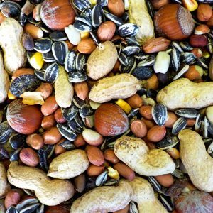 Squirrel food mix willow park seeds