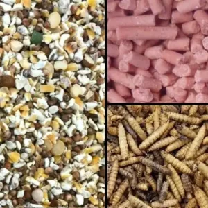 suet pellets husk free bird food calci worms