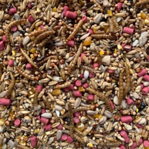 12 seeds blend gourmer wild bird seed