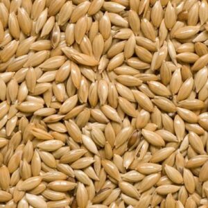 plain canary seed 20kg for cage and aviary birds