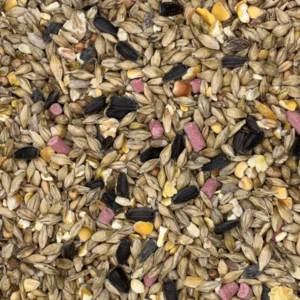 cheapest food for birds suet black sunflower mix