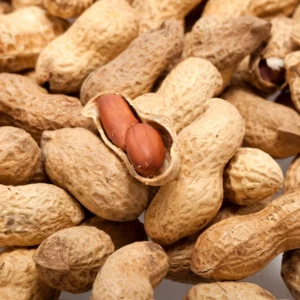 monkey nuts peanuts in shells for birds