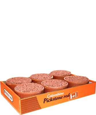 Versele-Laga Pickstone red "tray 5+1"