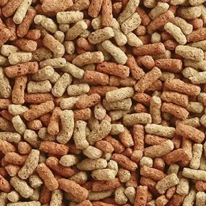 budget pond multi sticks